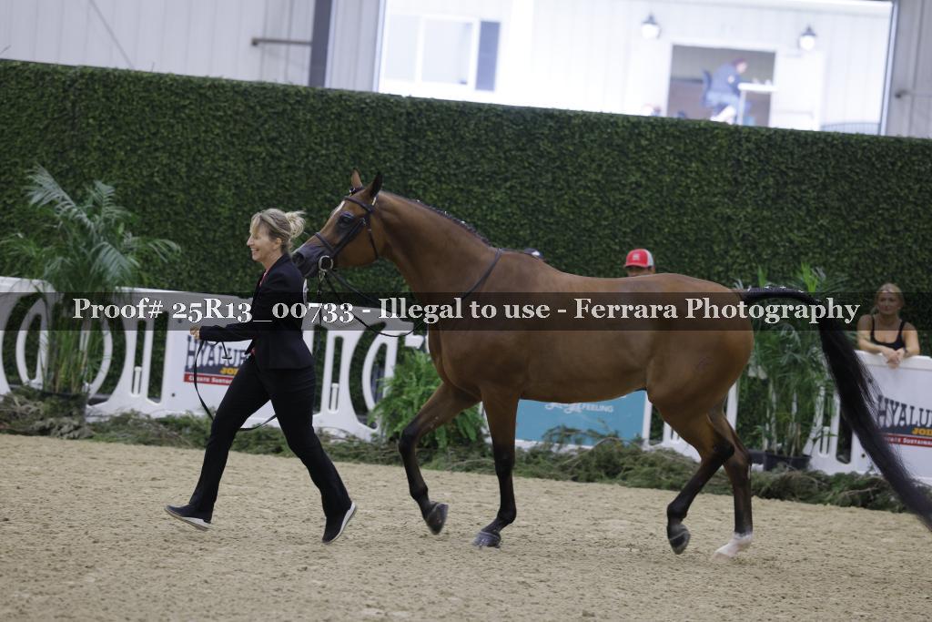 Proof Number 25R13_00733