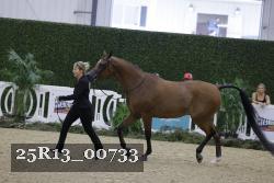 25R13_00733 thumbnail