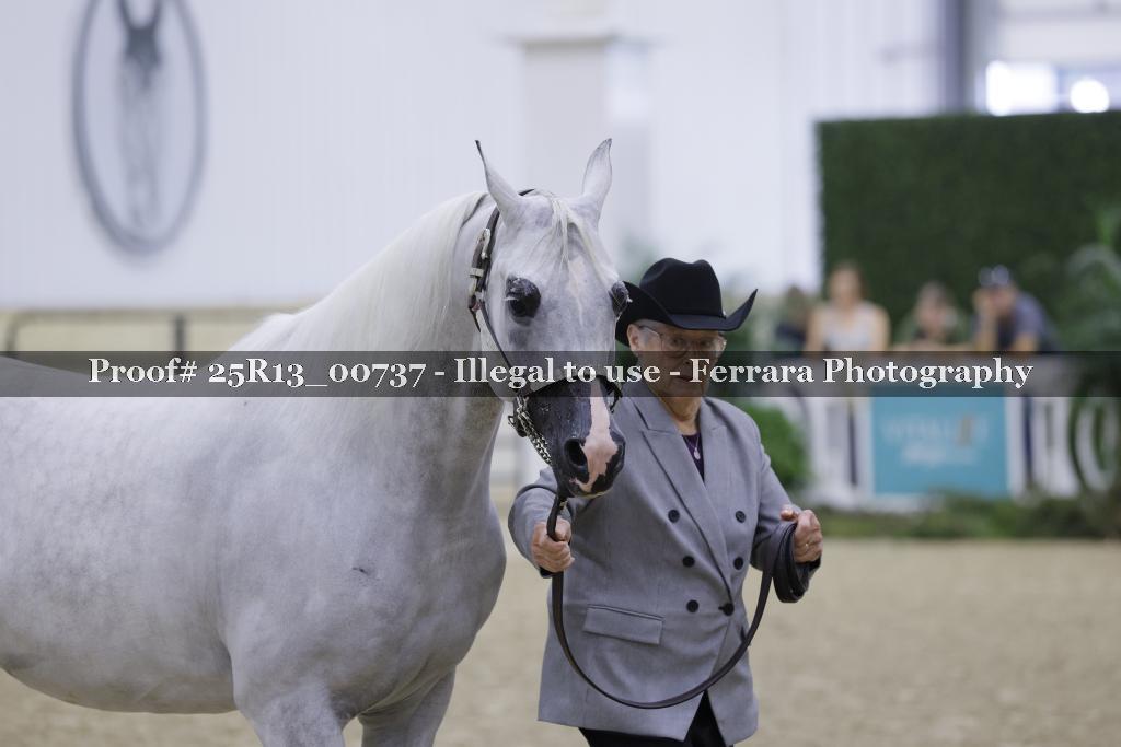 Proof Number 25R13_00737