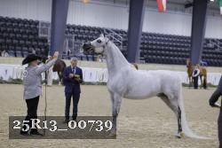 25R13_00739 thumbnail