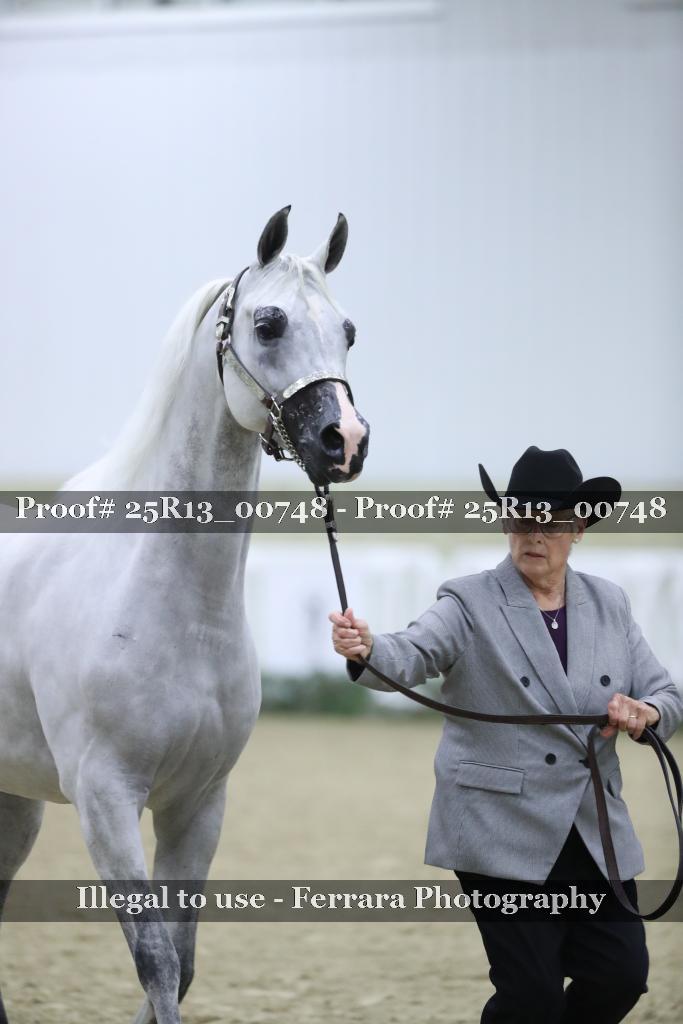Proof Number 25R13_00748