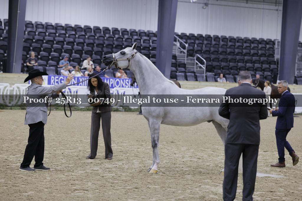 Proof Number 25R13_00749