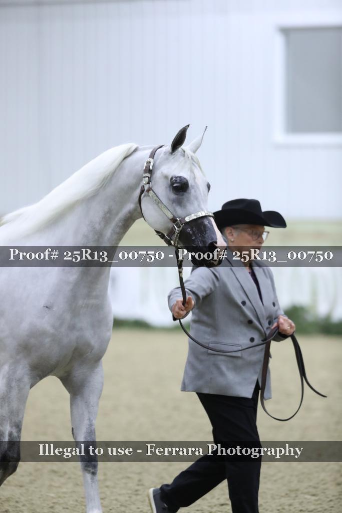 Proof Number 25R13_00750