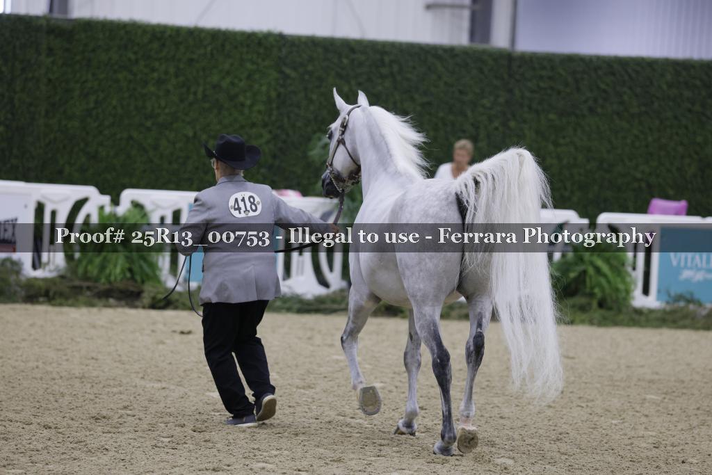 Proof Number 25R13_00753