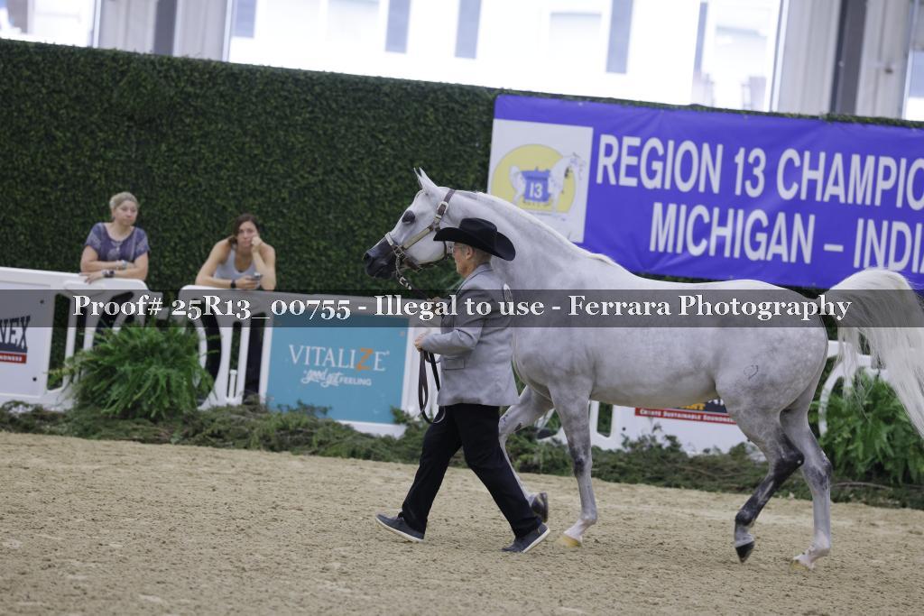 Proof Number 25R13_00755