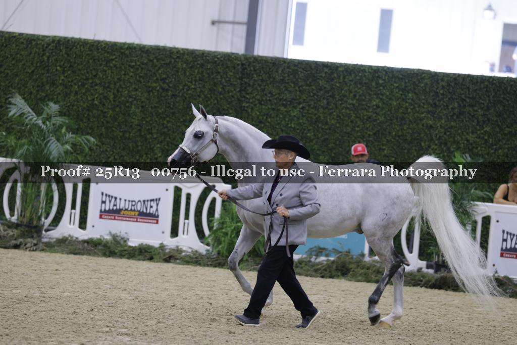 Proof Number 25R13_00756