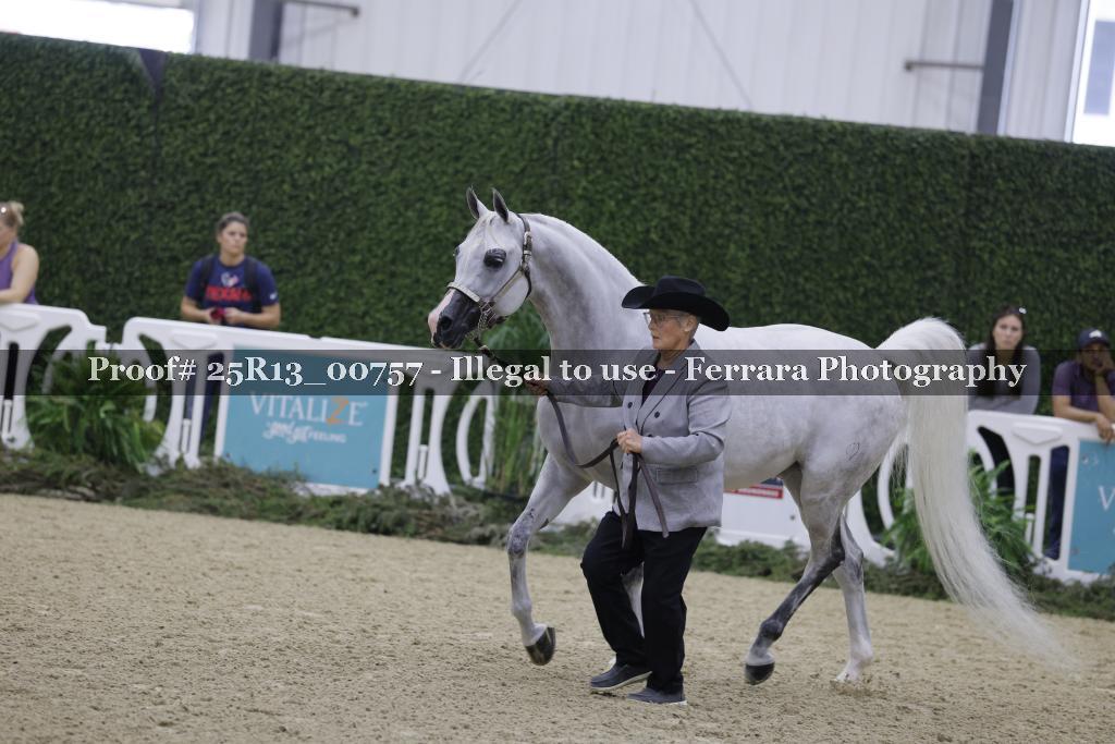 Proof Number 25R13_00757