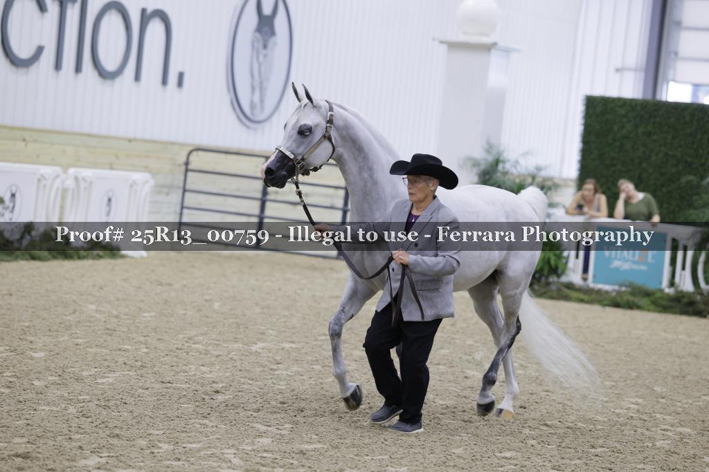 Proof Number 25R13_00759