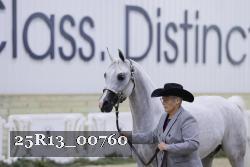 25R13_00760 thumbnail