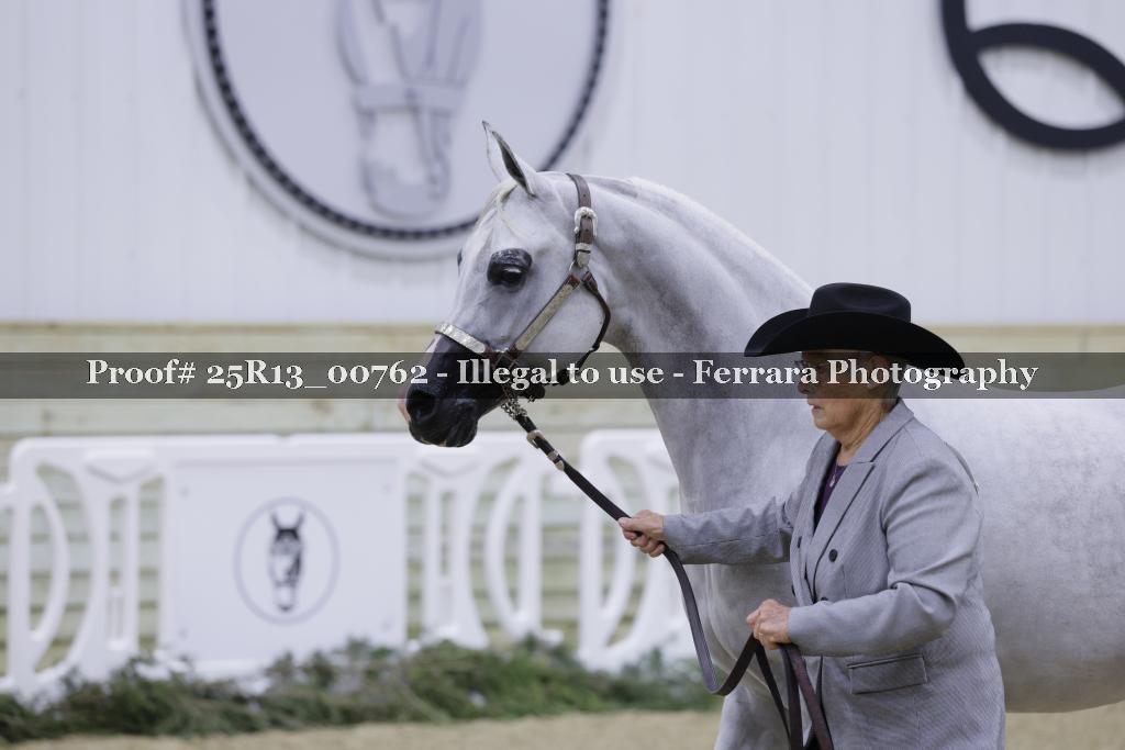 Proof Number 25R13_00762