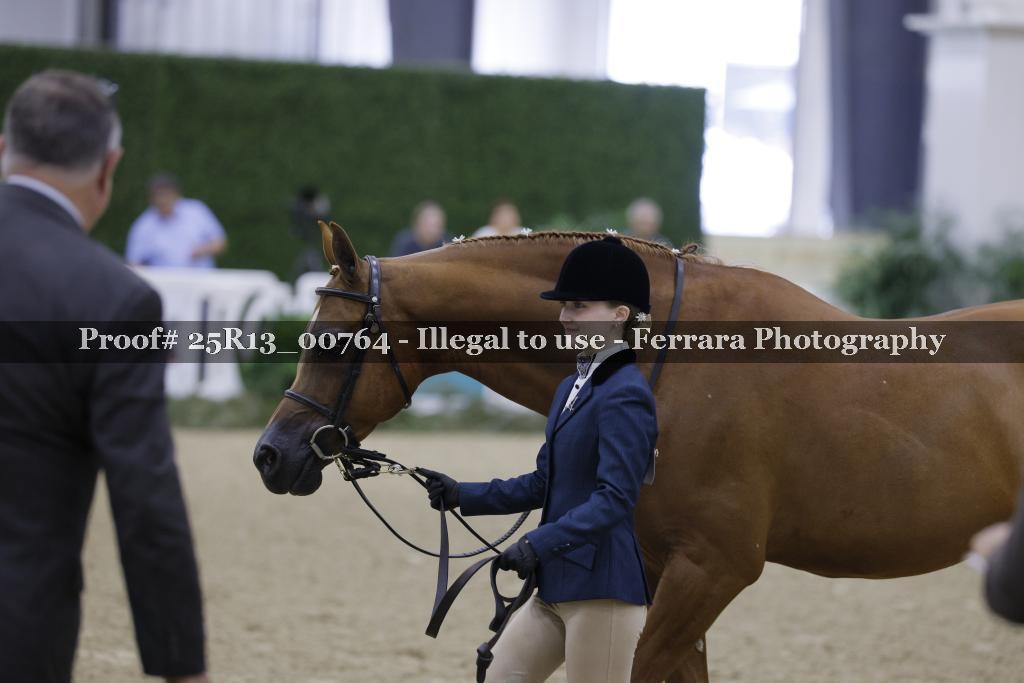 Proof Number 25R13_00764