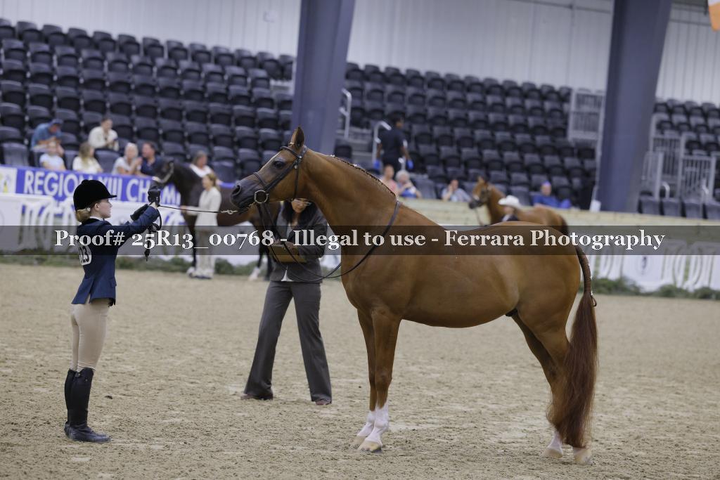 Proof Number 25R13_00768