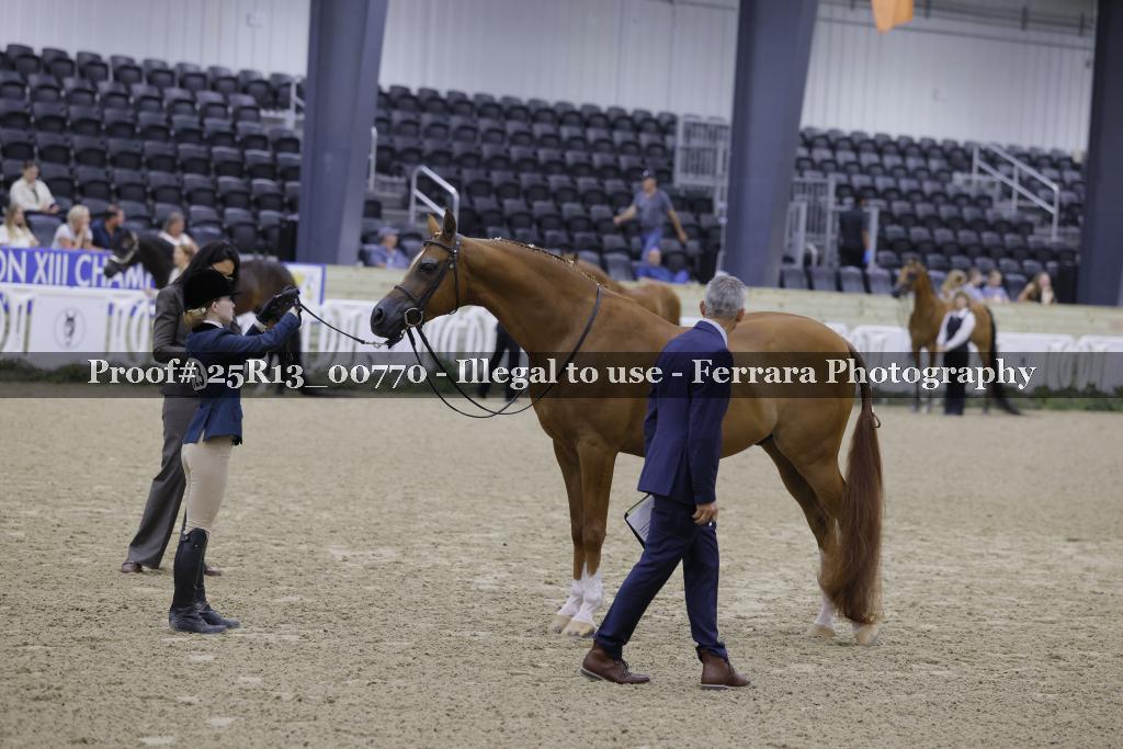 Proof Number 25R13_00770