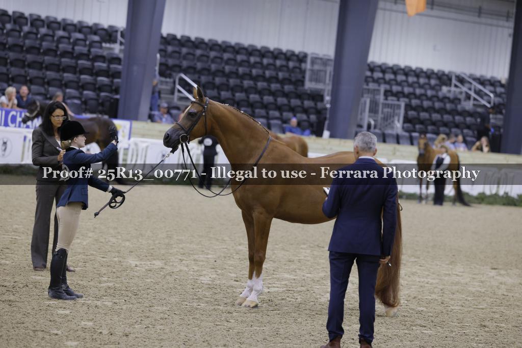 Proof Number 25R13_00771