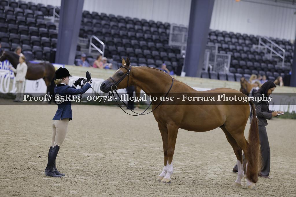 Proof Number 25R13_00772