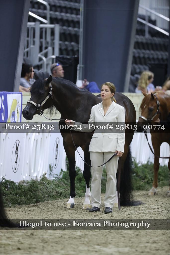 Proof Number 25R13_00774