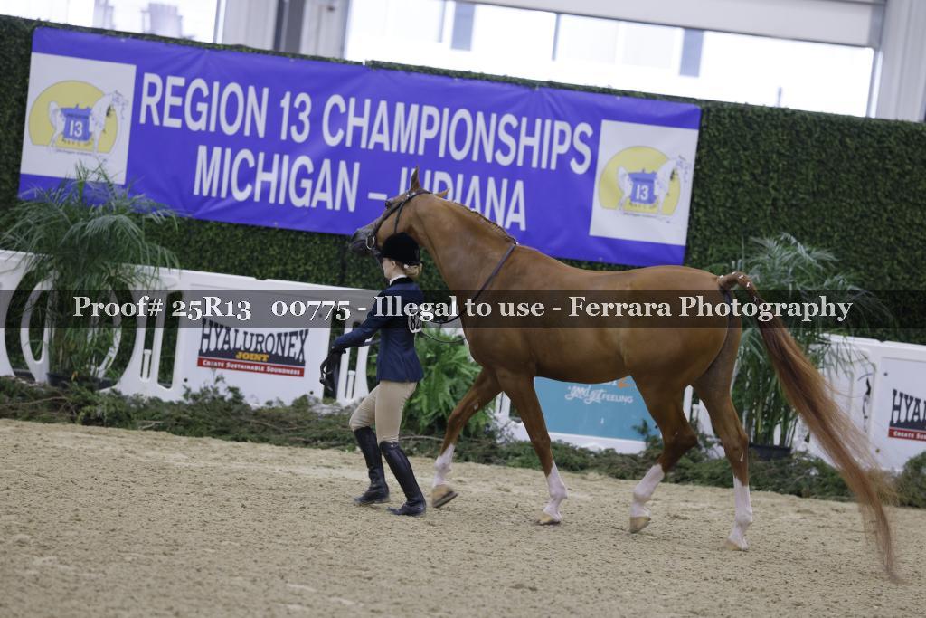 Proof Number 25R13_00775