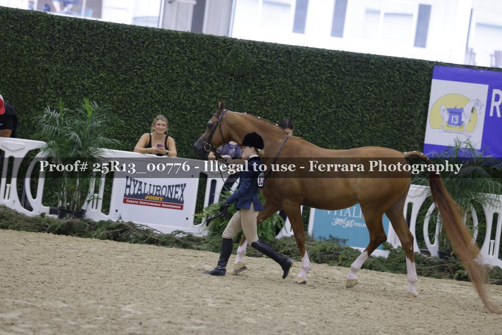 Proof Number 25R13_00776