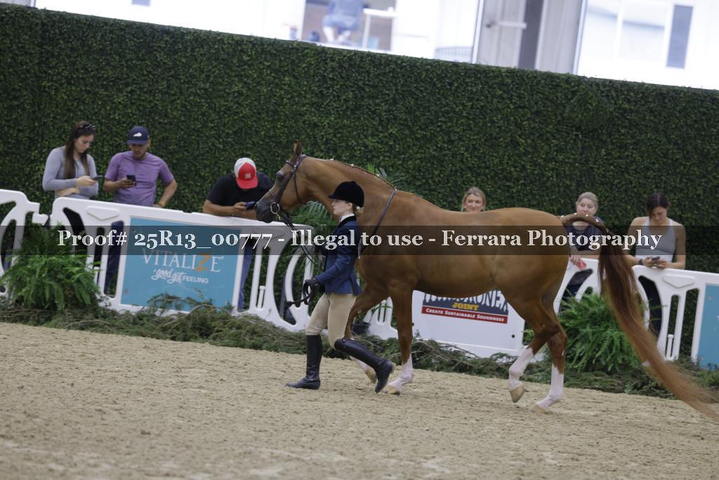 Proof Number 25R13_00777