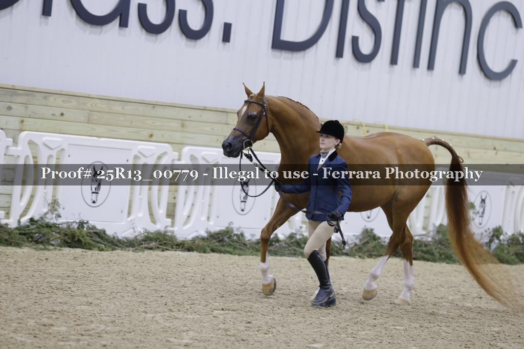 Proof Number 25R13_00779
