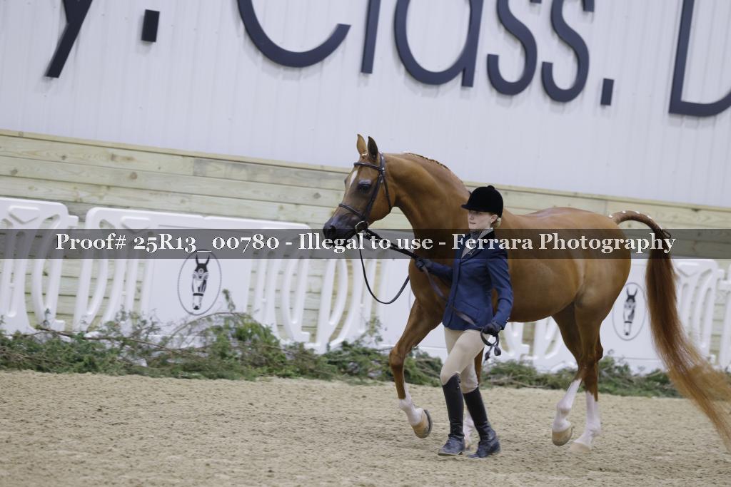 Proof Number 25R13_00780