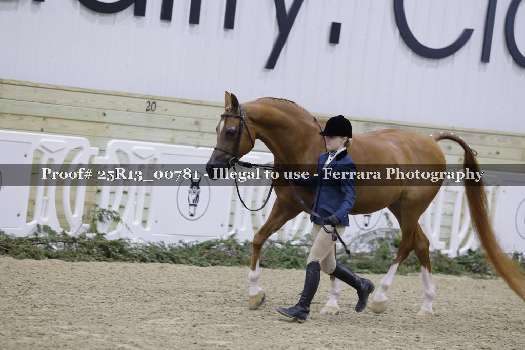 Proof Number 25R13_00781