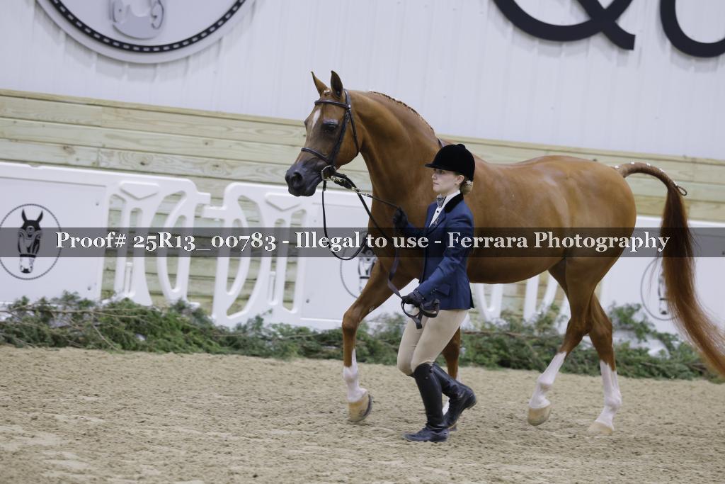 Proof Number 25R13_00783