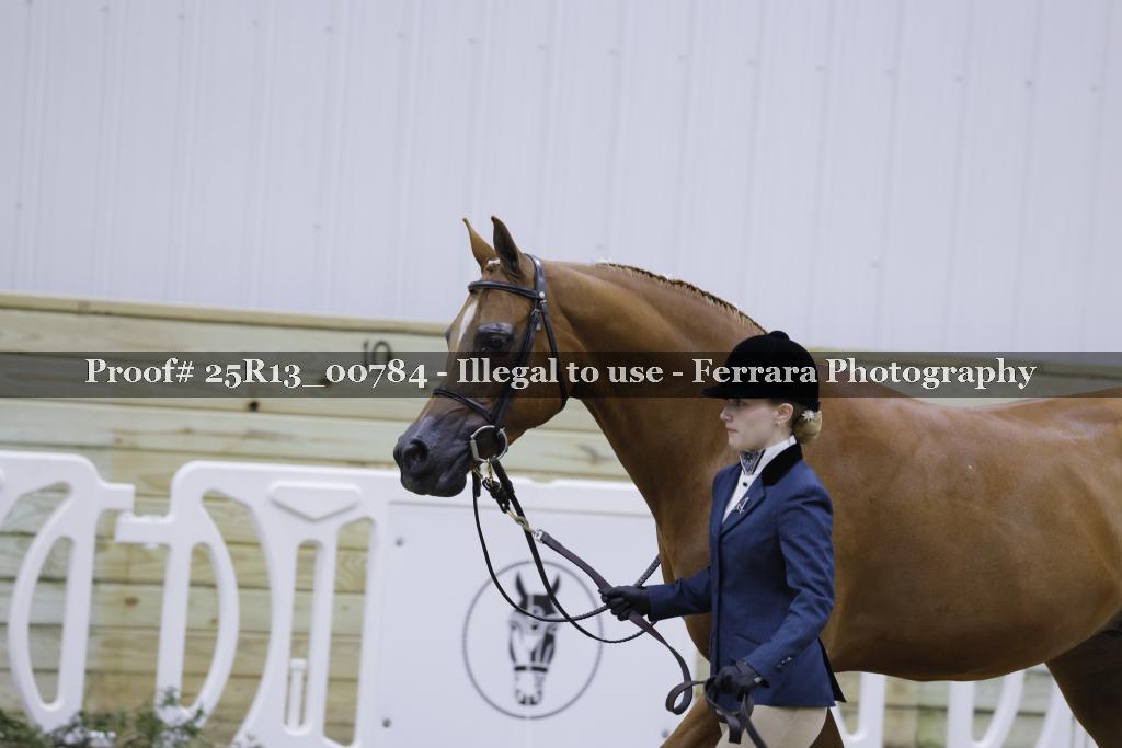Proof Number 25R13_00784