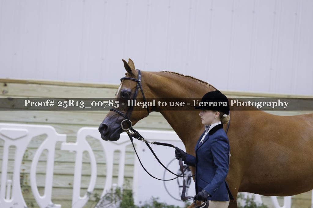 Proof Number 25R13_00785