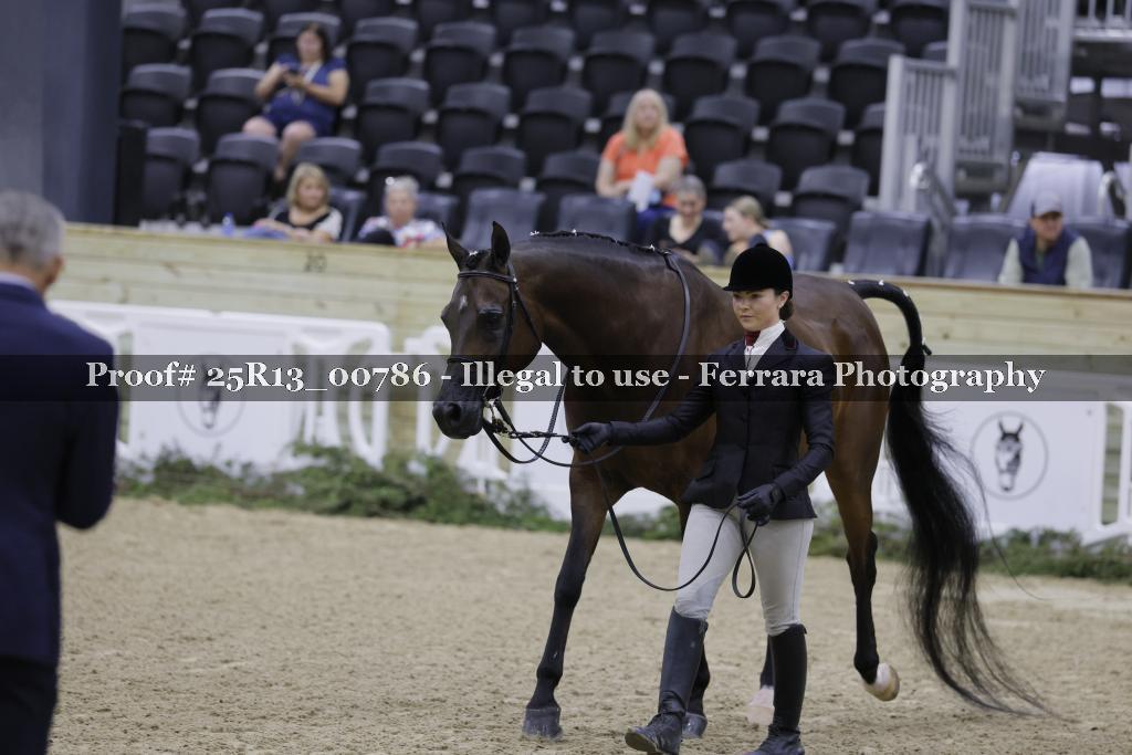 Proof Number 25R13_00786