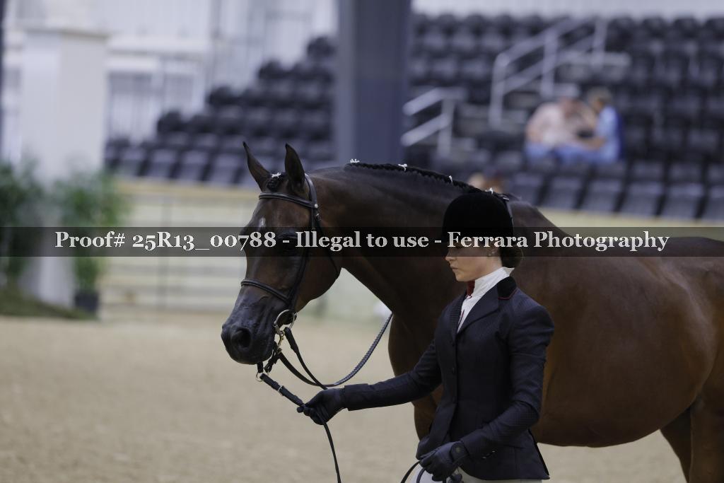 Proof Number 25R13_00788