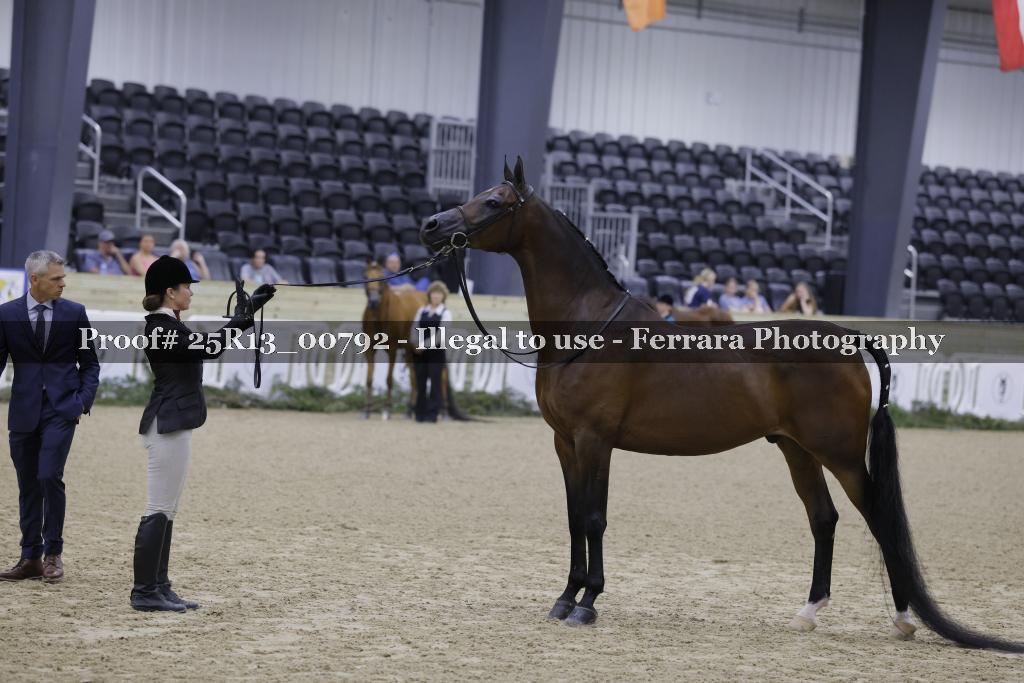 Proof Number 25R13_00792