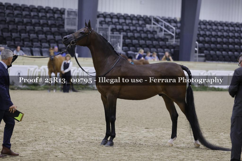 Proof Number 25R13_00795