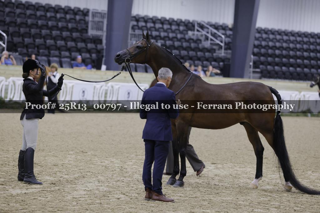 Proof Number 25R13_00797