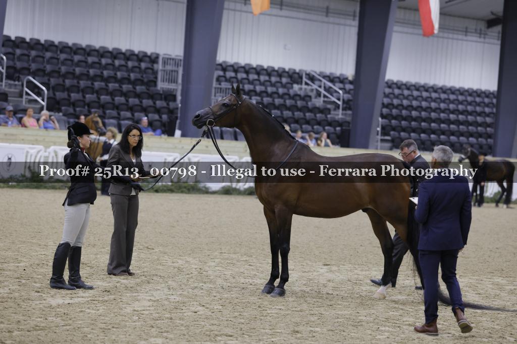 Proof Number 25R13_00798