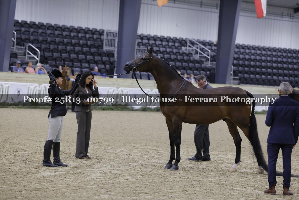 Proof Number 25R13_00799