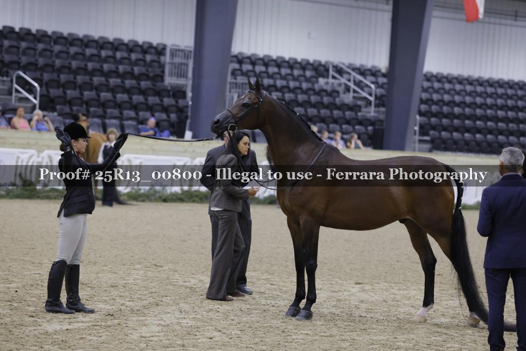 Proof Number 25R13_00800