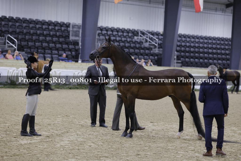 Proof Number 25R13_00801
