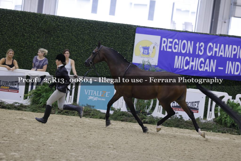 Proof Number 25R13_00804