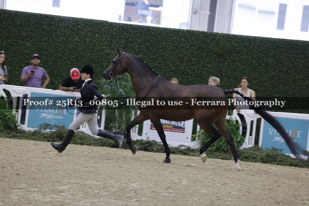 Proof Number 25R13_00805