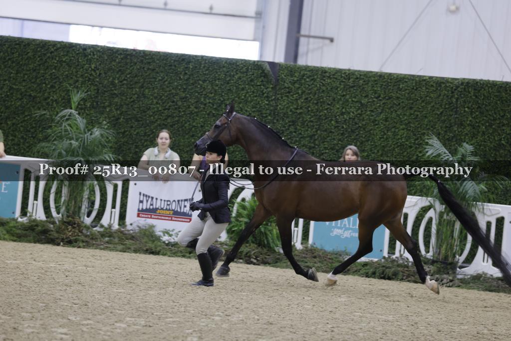 Proof Number 25R13_00807