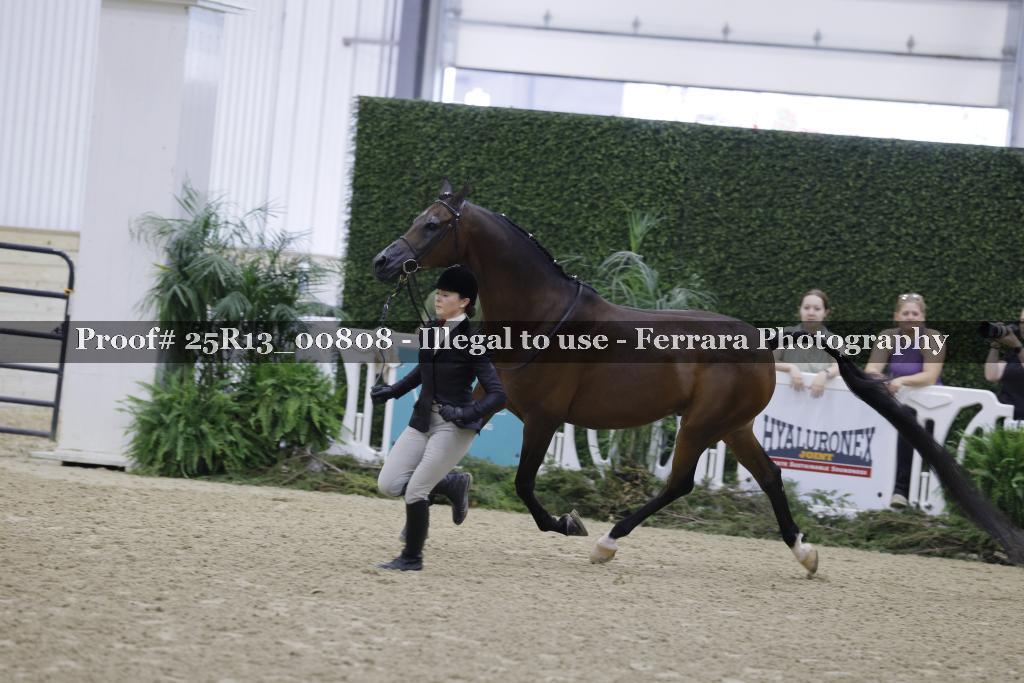 Proof Number 25R13_00808