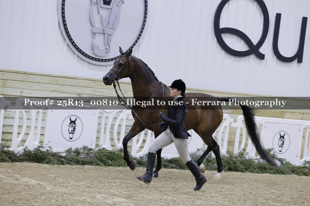 Proof Number 25R13_00810