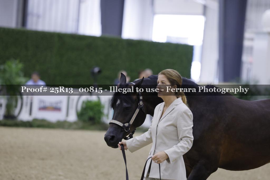 Proof Number 25R13_00815