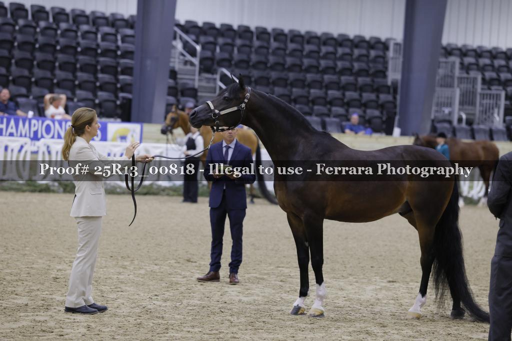Proof Number 25R13_00818