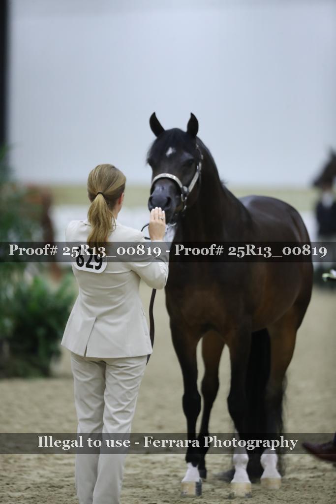 Proof Number 25R13_00819