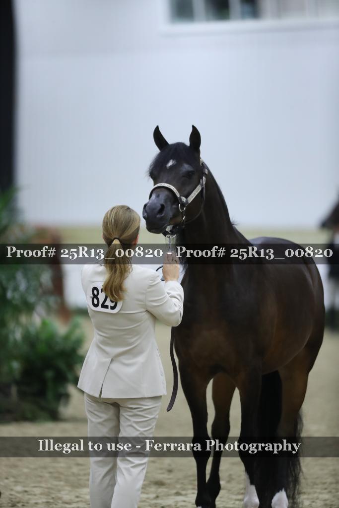 Proof Number 25R13_00820