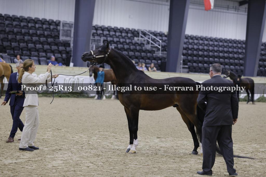 Proof Number 25R13_00821