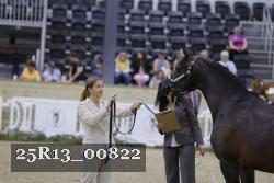 25R13_00822 thumbnail