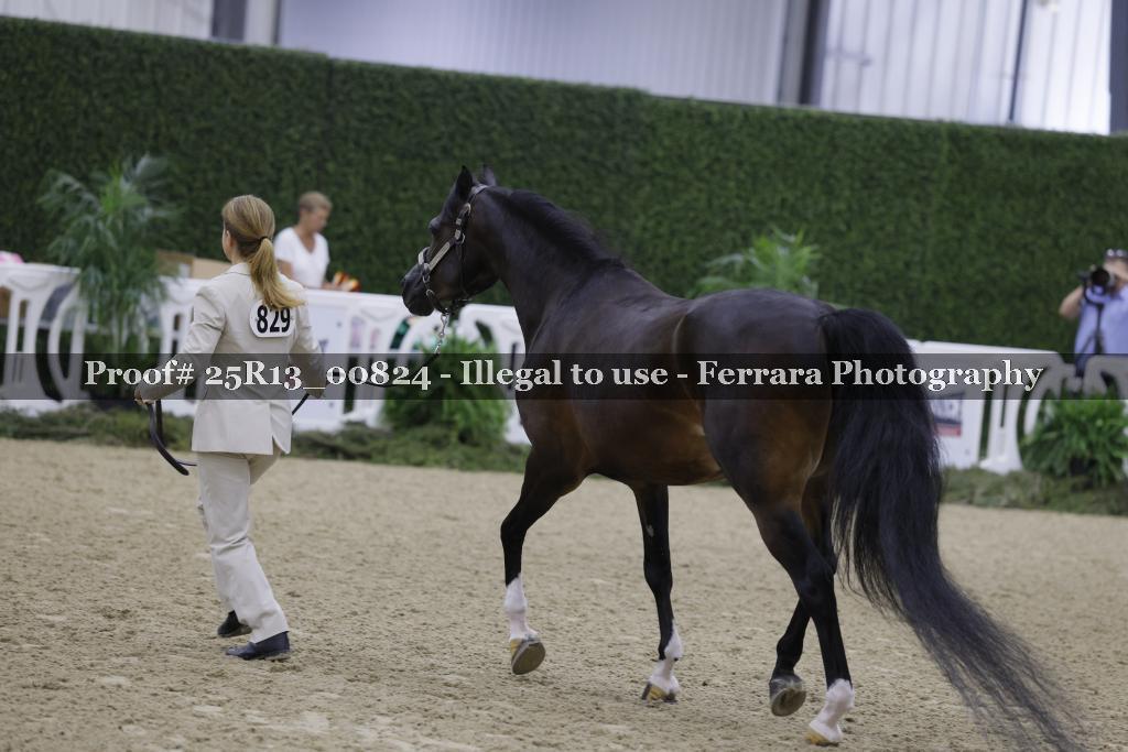 Proof Number 25R13_00824
